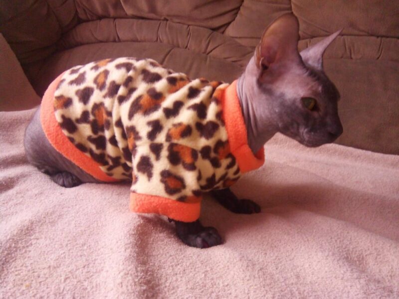 Petcircle Hot Sale 4 Style Pet Cat Villus Clothes Winter Pet Fleeces ...