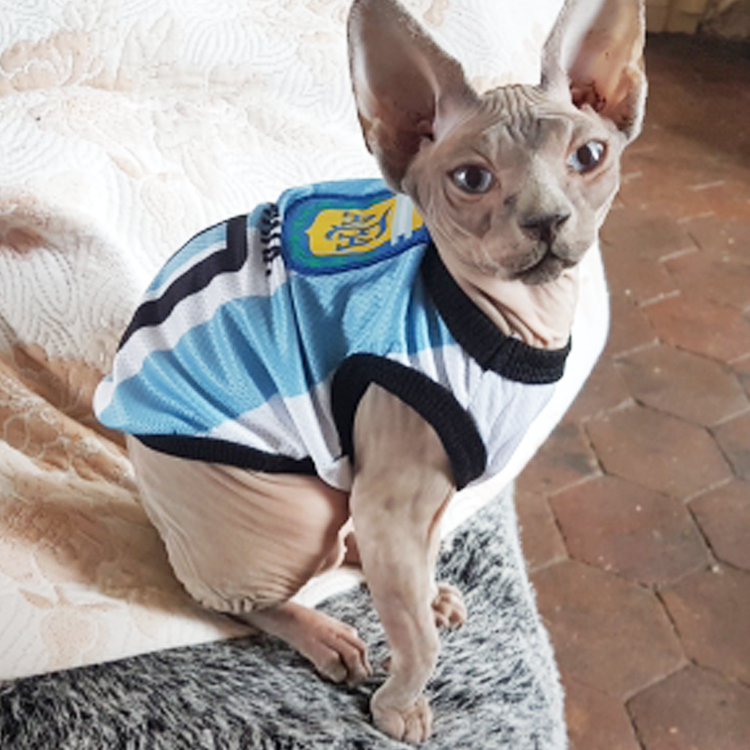 Sports Dog Vest Cat Shirt Pet Clothing Summer Cotton Sweatshirt Football  Jersey Dog Clothes For Small Medium Large Dogs XS-6XL