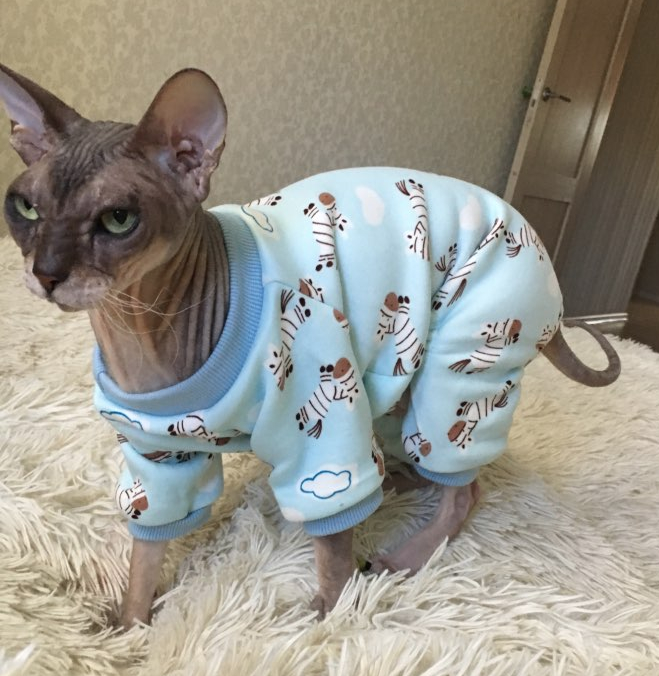 Cute, Fashionable Sphynx Cat Pajamas