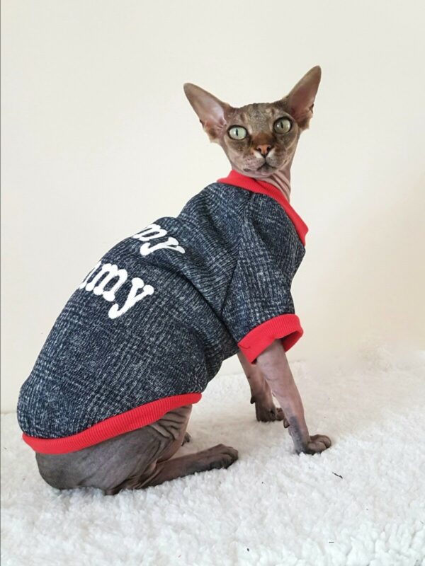 “I Love My Mommy and Daddy” Sphynx Cat hoodie