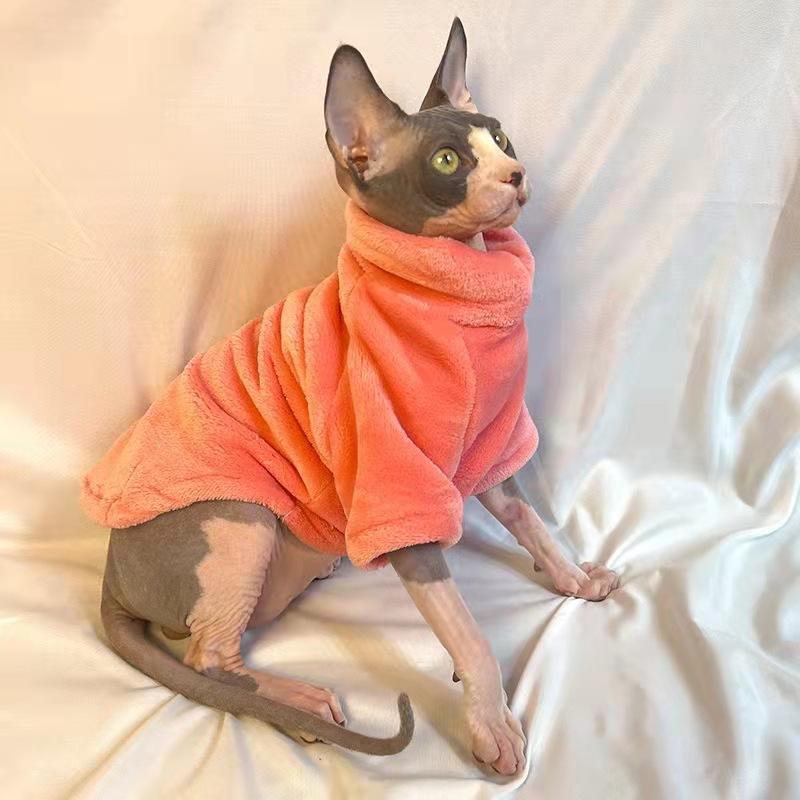 Beautiful Winter Sphynx Cat Hairless Cats Wearing Coat in Snow 