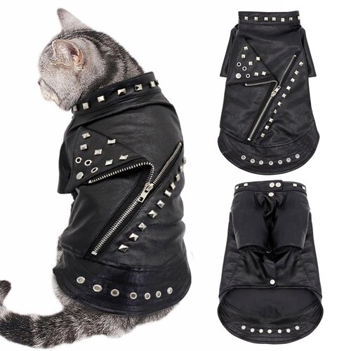 kitten clothes jackets leather black